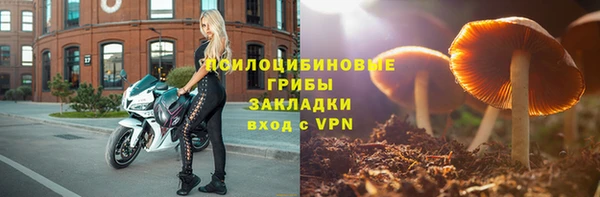 скорость Алексин