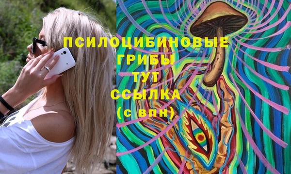 индика Алексеевка
