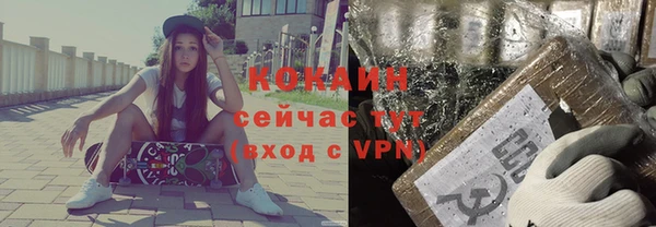 индика Алексеевка