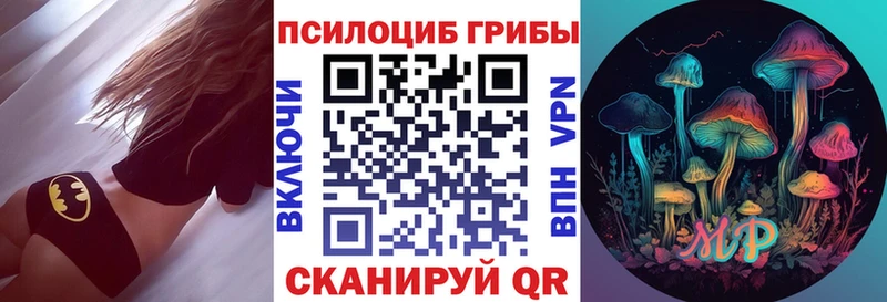 KRAKEN зеркало  Большой Камень  Псилоцибиновые грибы Psilocybine cubensis 