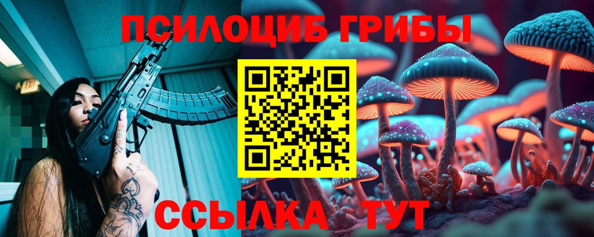 Галлюциногенные грибы Psilocybine cubensis Большой Камень
